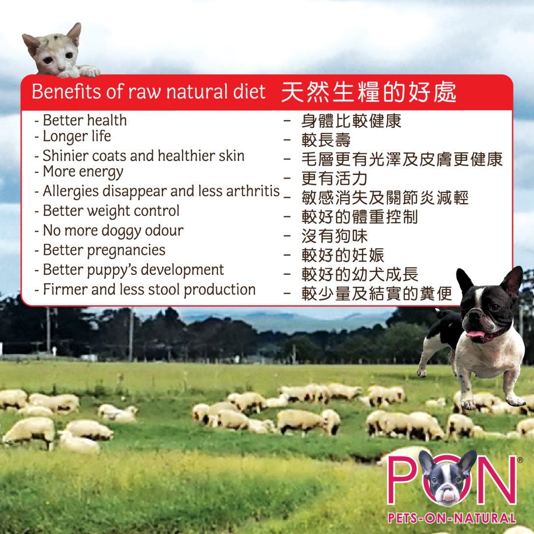 benefits of raw food