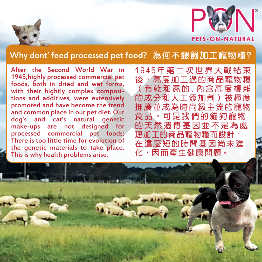 Why don't feed processed pet food